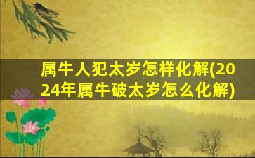 属牛人犯太岁怎样化解(2024年属牛破太岁怎么化解)