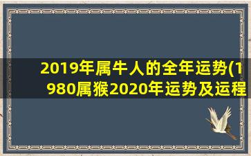 2019年属牛人的全年运势