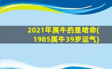 2021年属牛的是啥命(1985属牛39岁运气)