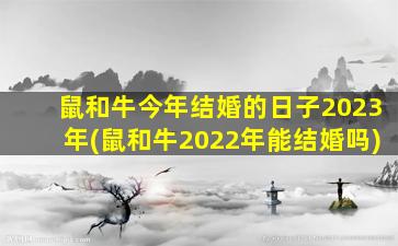 鼠和牛今年结婚的日子2023年(鼠和牛2022年能结婚吗)