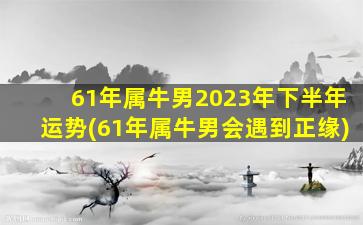 61年属牛男2023年下半年运势(61年属牛男会遇到正缘)