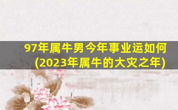 97年属牛男今年事业运如何(2023年属牛的大灾之年)