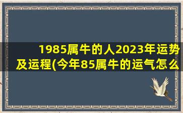 1985属牛的人2023年运势及运程(今年85属牛的运气怎么样)