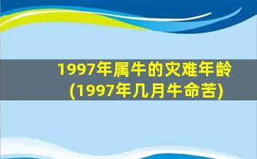 1997年属牛的灾难年龄(