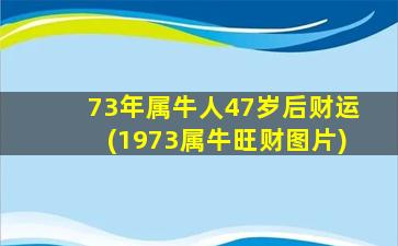 73年属牛人47岁后财运(