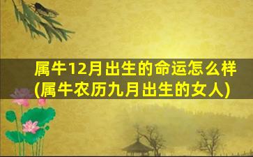 属牛12月出生的命运怎么样(属牛农历九月出生的女人)