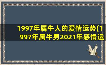 1997年属牛人的爱情运势(1997年属牛男2021年感情运势)