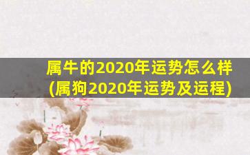 属牛的2020年运势怎么样