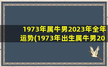 1973年属牛男2023年全年运势(1973年出生属牛男2023年运程)