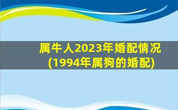 属牛人2023年婚配情况(1994年属狗的婚配)