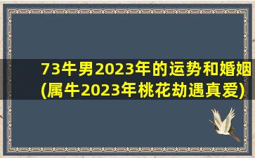 73牛男2023年的运势和婚姻