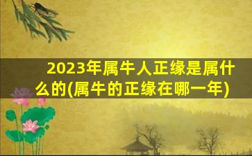 2023年属牛人正缘是属什么