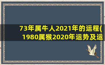 73年属牛人2021年的运程(1980属猴2020年运势及运程)