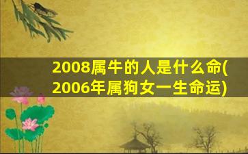 2008属牛的人是什么命(2006年属狗女一生命运)