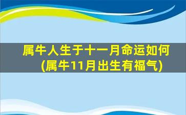 属牛人生于十一月命运如何(属牛11月出生有福气)