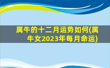 属牛的十二月运势如何(属牛女2023年每月命运)