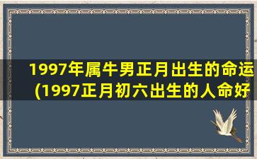 1997年属牛男正月出生的命运(1997正月初六出生的人命好吗)