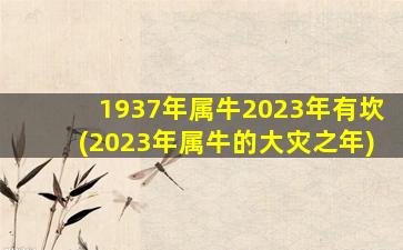 1937年属牛2023年有坎(2023年