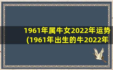 1961年属牛女2022年运势