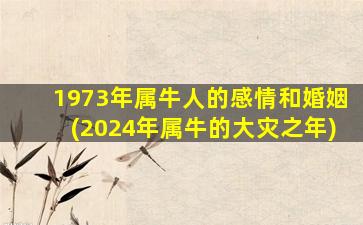 1973年属牛人的感情和婚姻(2024年属牛的大灾之年)