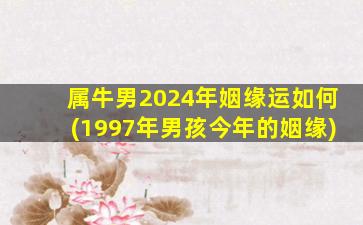 属牛男2024年姻缘运如何(1997年男孩今年的姻缘)