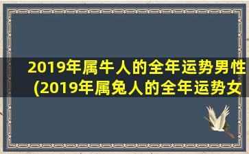 2019年属牛人的全年运势男