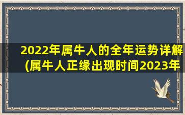 2022年属牛人的全年运势详解(属牛人正缘出现时间2023年)