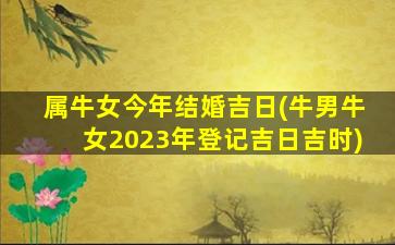 属牛女今年结婚吉日(牛男牛女2023年登记吉日吉时)