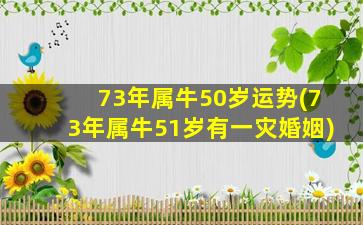 73年属牛50岁运势(73年属牛51岁有一灾婚姻)