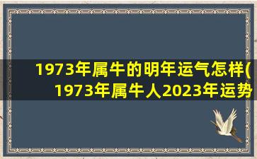 1973年属牛的明年运气怎样(1973年属牛人2023年运势)