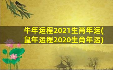 牛年运程2021生肖年运(鼠年