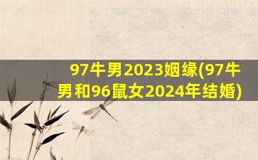 97牛男2023姻缘(97牛男和96鼠女2024年结婚)