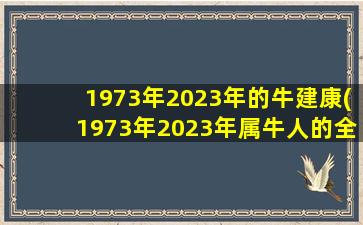 1973年2023年的牛建康(1973年2023年属牛人的全年运势)