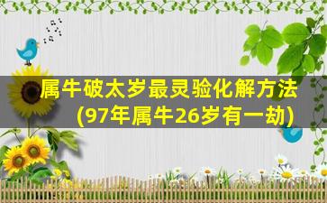 属牛破太岁最灵验化解方法(97年属牛26岁有一劫)