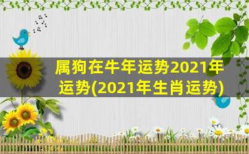 属狗在牛年运势2021年运势(2021年生肖运势)