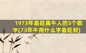 1973年最旺属牛人的5个数字(73年牛用什么字最旺财)