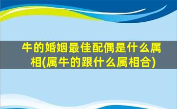 牛的婚姻最佳配偶是什么