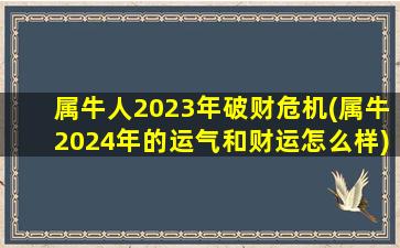 属牛人2023年破财危机(属牛2024年的运气和财运怎么样)