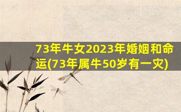 73年牛女2023年婚姻和命运