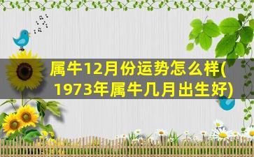 属牛12月份运势怎么样(1973年属牛几月出生好)