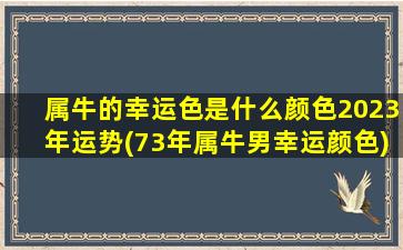 属牛的幸运色是什么颜色