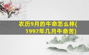 农历9月的牛命怎么样(