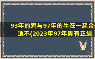 93年的鸡与97年的牛在一起合适不(2023年97年男有正缘吗)