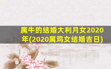 属牛的结婚大利月女2020年(2020属鸡女结婚吉日)