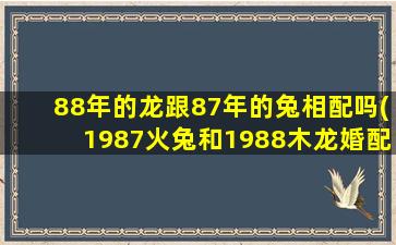 88年的龙跟87年的兔相配