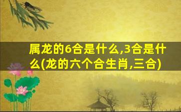 属龙的6合是什么,3合是什