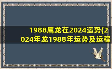 1988属龙在2024运势(2024年