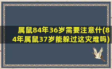 属鼠84年36岁需要注意什