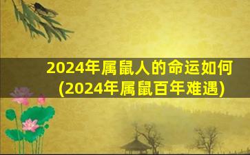 <strong>2024年属鼠人的命运如何</strong>