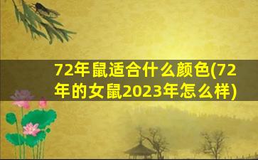 72年鼠适合什么颜色(72年